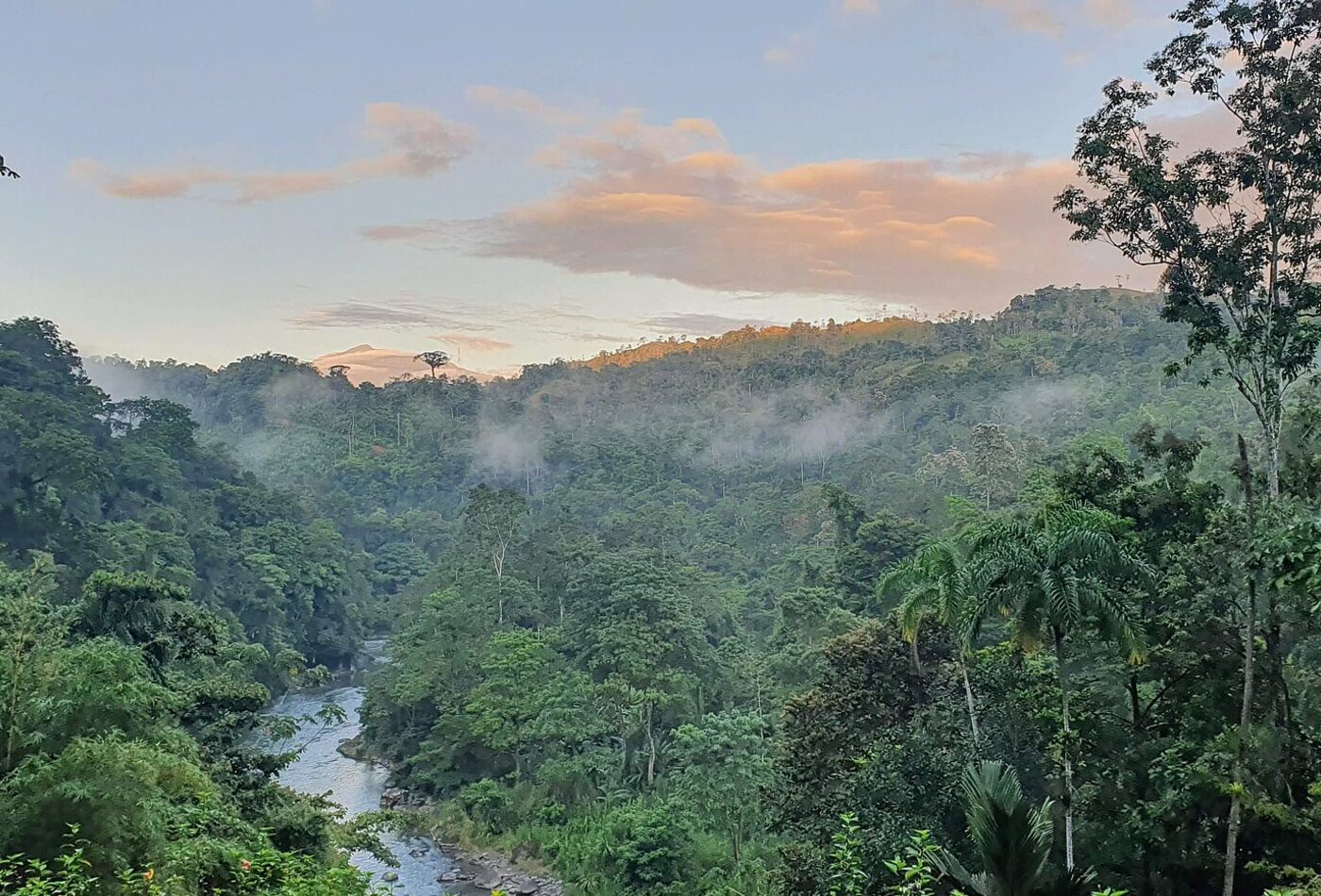 Costa Rica rainforest route