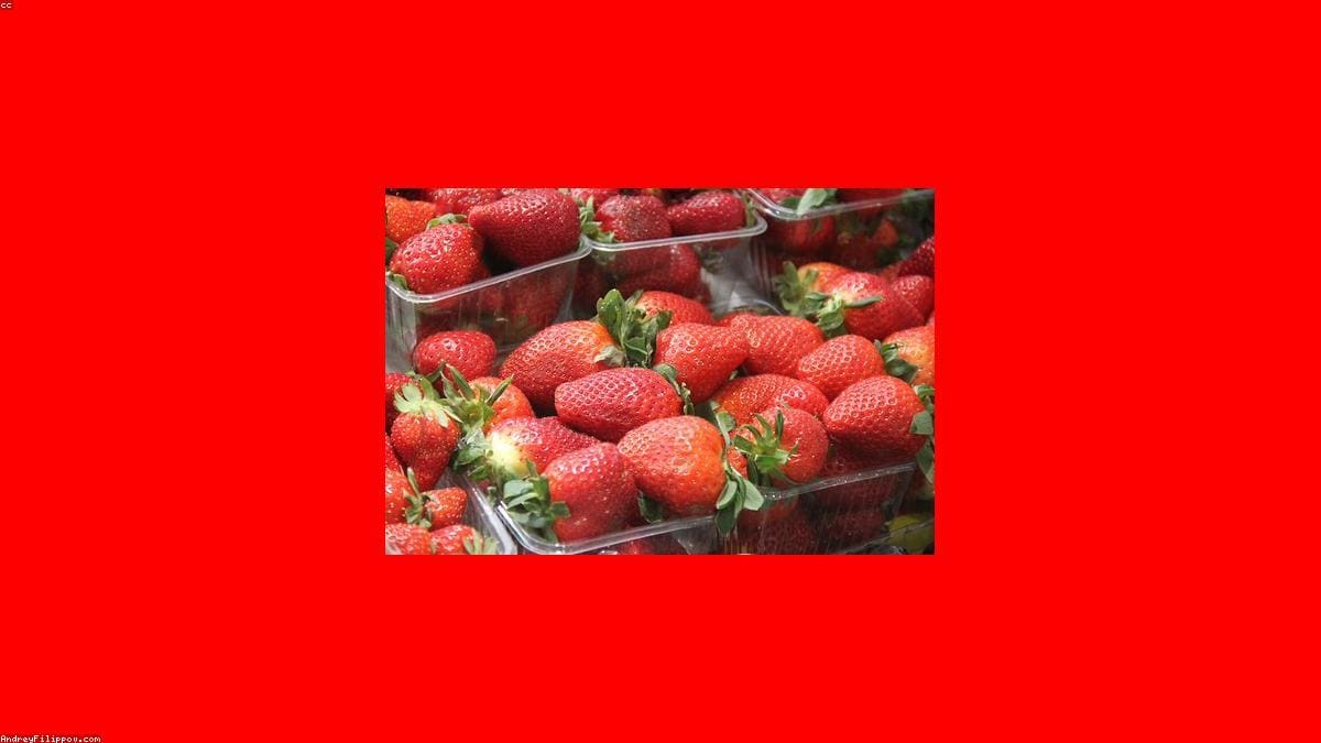Москва: Местная кухня и бюджет на месте